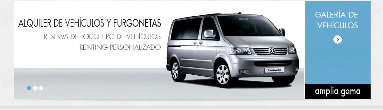 Volkswagen Caravelle gris plata